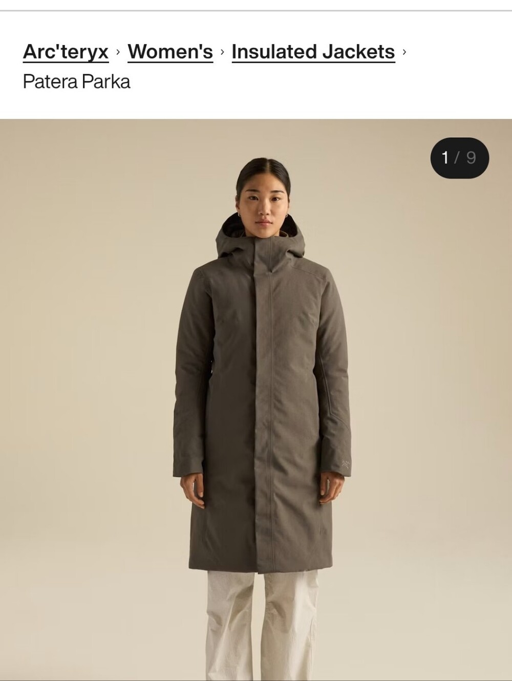 Arc'teryx Black Ski & Snow Jacket